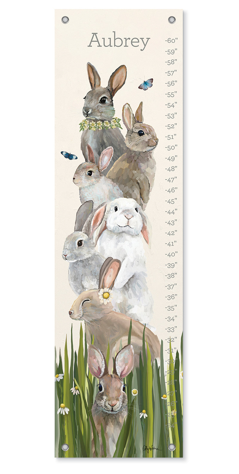 Cottontail Bunny Growth Chart For Cheap devtechtatva.manipal.edu