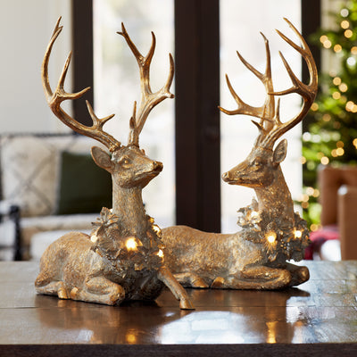 Deer with LED Lights (Set of Two)