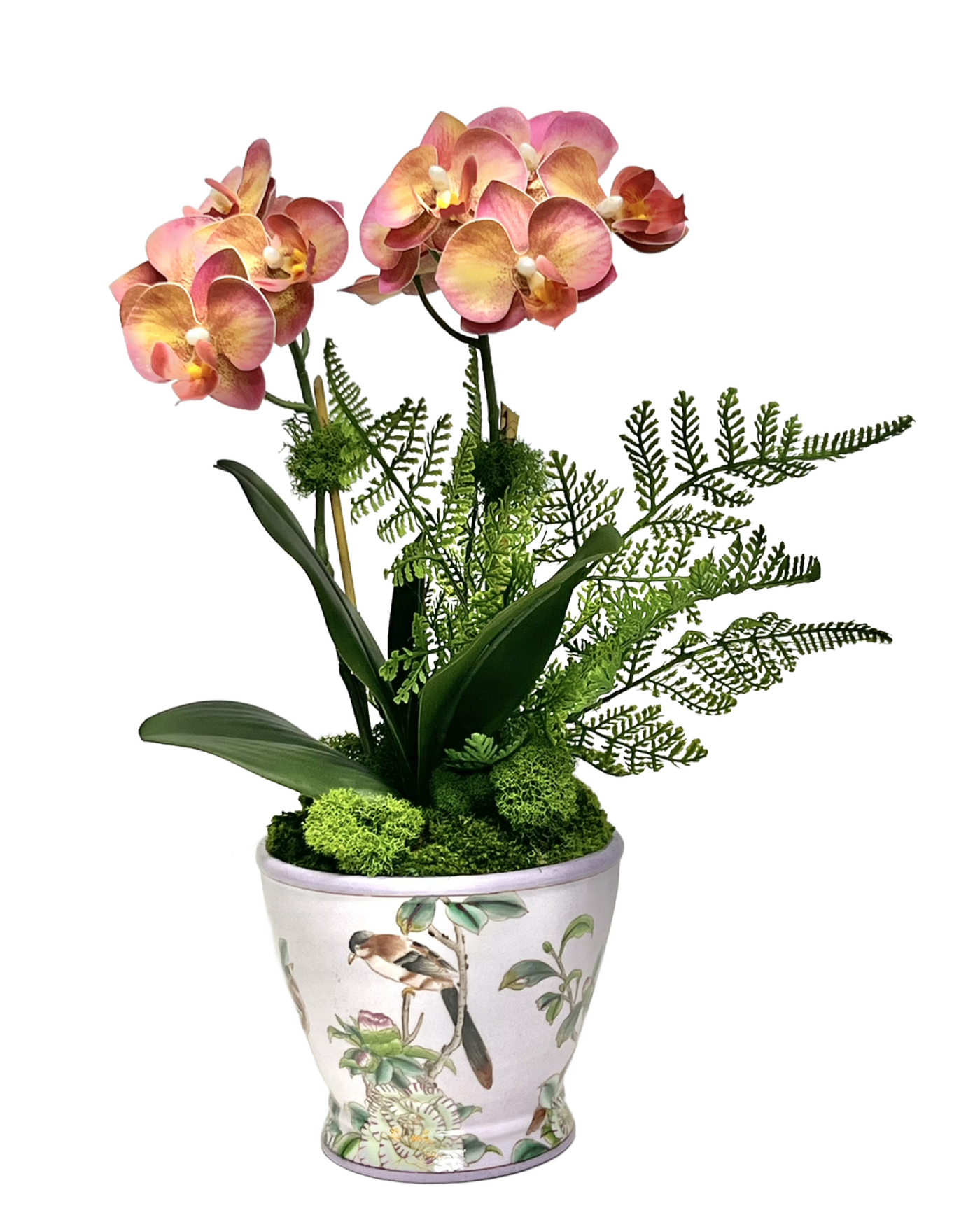 Orchids and Ferns in Bird Pot